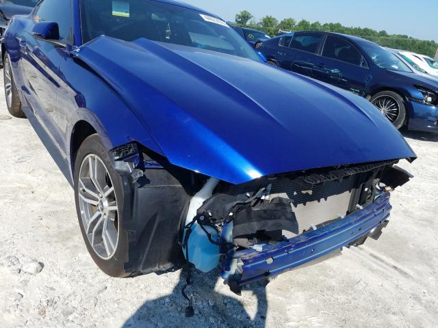 Photo 8 VIN: 1FA6P8AM9G5321642 - FORD MUSTANG 