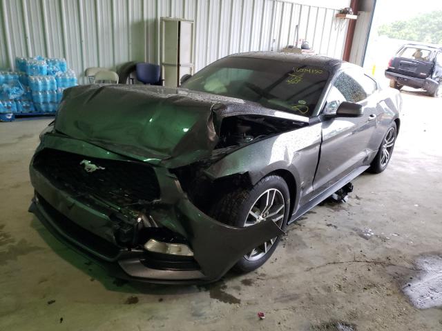 Photo 1 VIN: 1FA6P8AM9G5322595 - FORD MUSTANG 