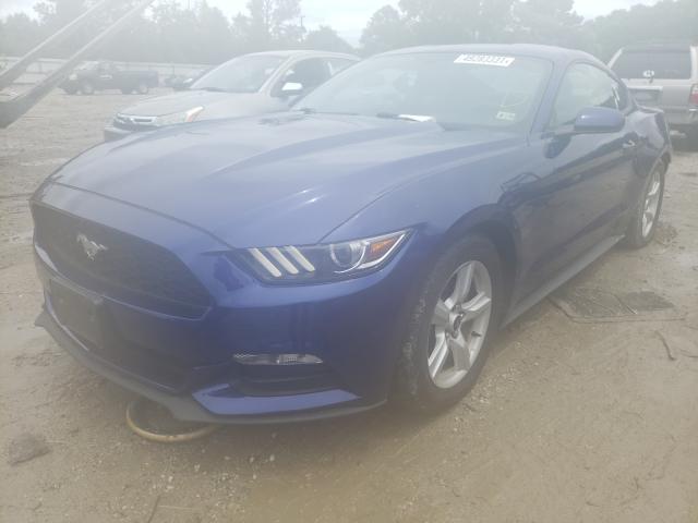 Photo 1 VIN: 1FA6P8AM9G5326873 - FORD MUSTANG 