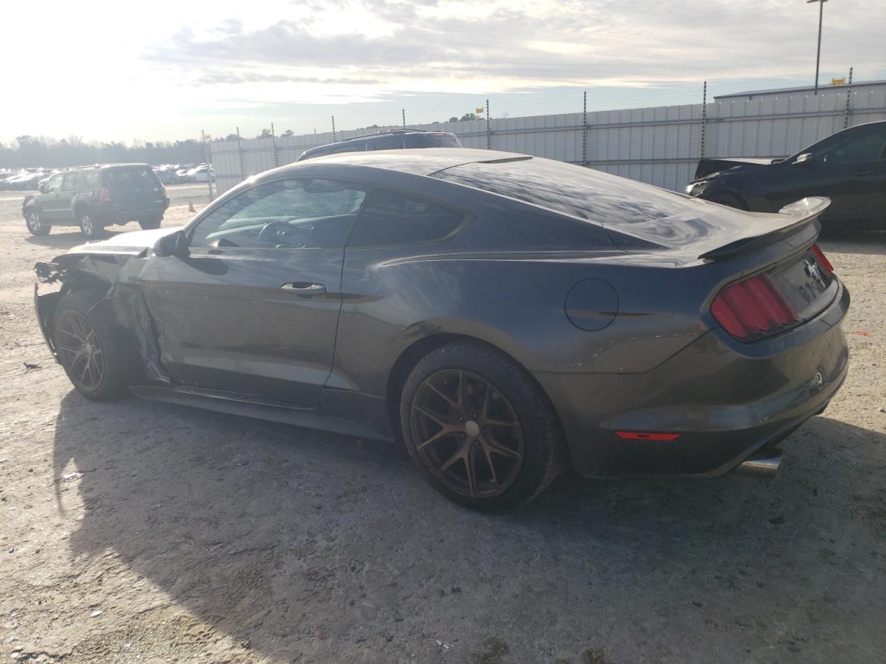 Photo 1 VIN: 1FA6P8AM9H5206735 - FORD MUSTANG 