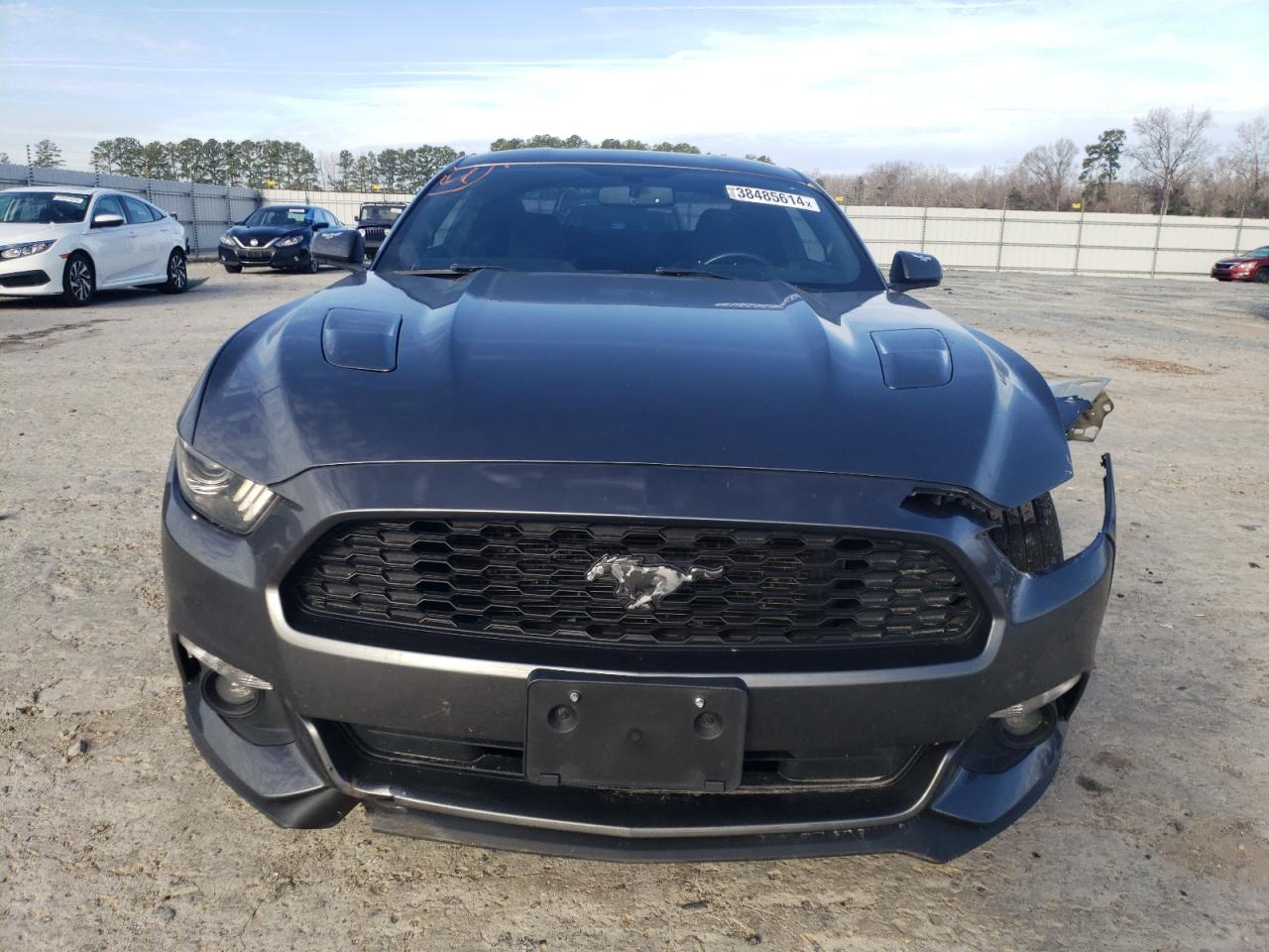 Photo 4 VIN: 1FA6P8AM9H5206735 - FORD MUSTANG 