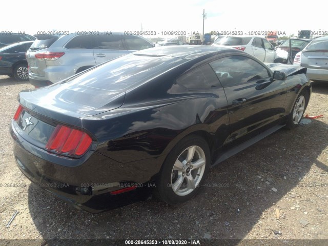 Photo 3 VIN: 1FA6P8AM9H5247320 - FORD MUSTANG 