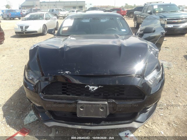 Photo 5 VIN: 1FA6P8AM9H5247320 - FORD MUSTANG 