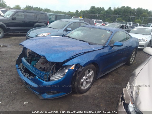 Photo 1 VIN: 1FA6P8AM9H5250301 - FORD MUSTANG 