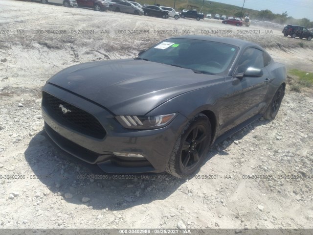 Photo 1 VIN: 1FA6P8AM9H5256437 - FORD MUSTANG 