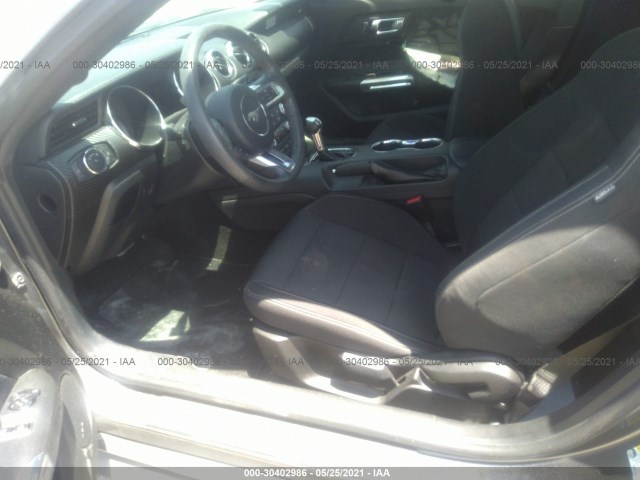 Photo 4 VIN: 1FA6P8AM9H5256437 - FORD MUSTANG 