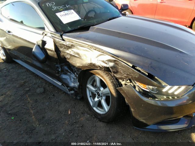 Photo 5 VIN: 1FA6P8AM9H5257409 - FORD MUSTANG 