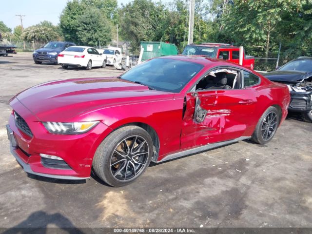 Photo 1 VIN: 1FA6P8AM9H5265641 - FORD MUSTANG 