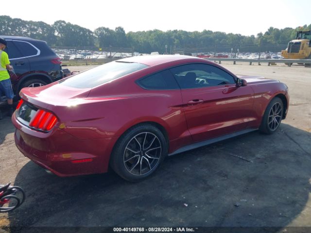 Photo 3 VIN: 1FA6P8AM9H5265641 - FORD MUSTANG 