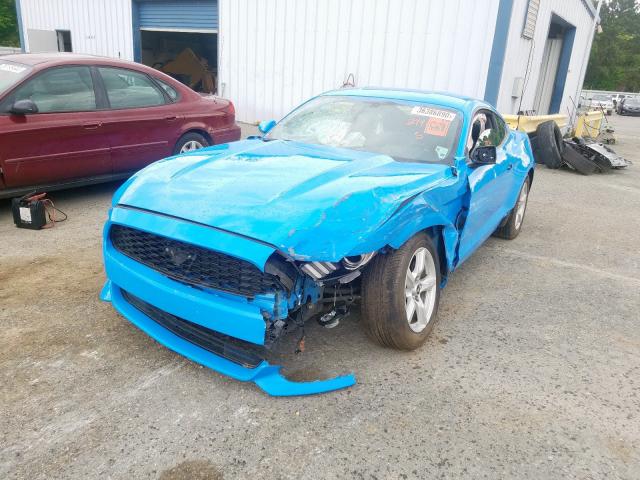 Photo 1 VIN: 1FA6P8AM9H5294072 - FORD MUSTANG 