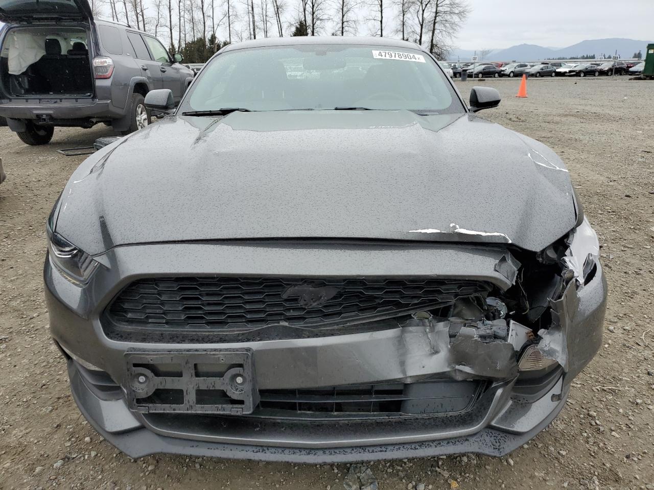 Photo 4 VIN: 1FA6P8AM9H5307130 - FORD MUSTANG 