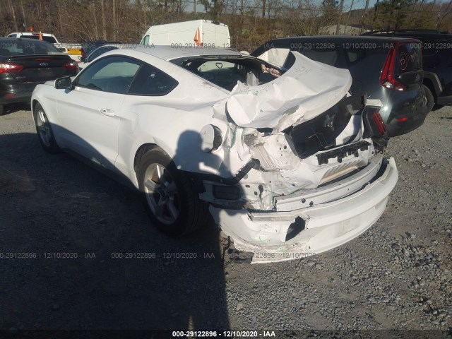 Photo 2 VIN: 1FA6P8AM9H5311856 - FORD MUSTANG 