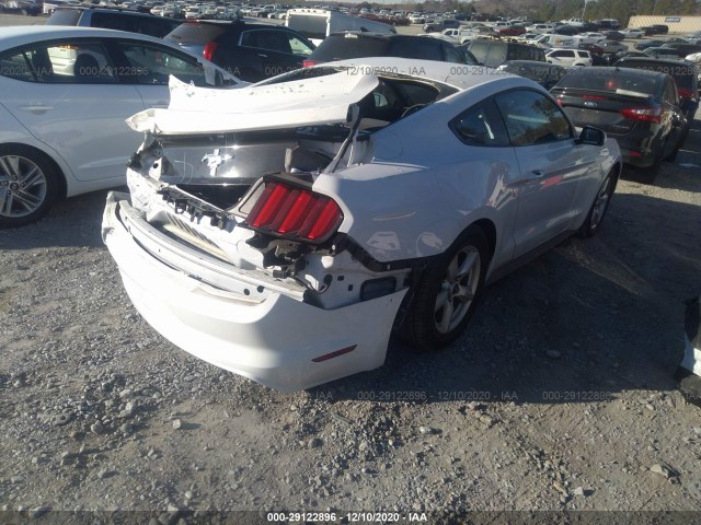 Photo 3 VIN: 1FA6P8AM9H5311856 - FORD MUSTANG 