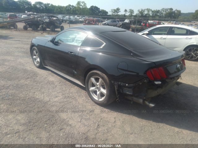 Photo 2 VIN: 1FA6P8AM9H5339656 - FORD MUSTANG 