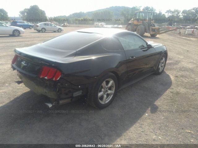 Photo 3 VIN: 1FA6P8AM9H5339656 - FORD MUSTANG 