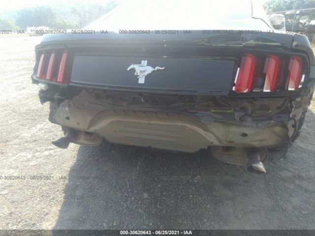 Photo 5 VIN: 1FA6P8AM9H5339656 - FORD MUSTANG 