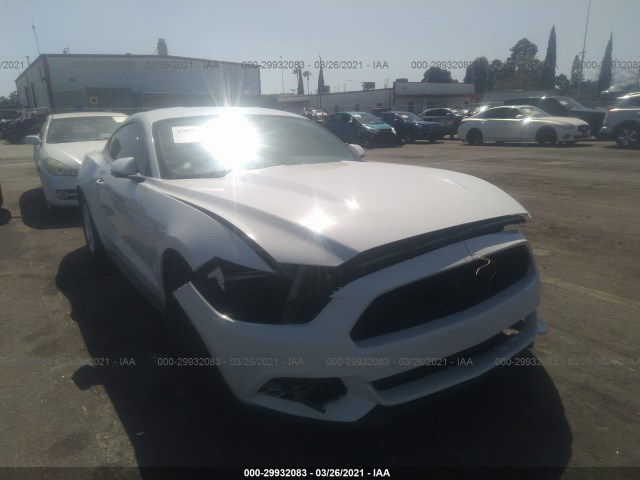 Photo 5 VIN: 1FA6P8AMXF5306243 - FORD MUSTANG 