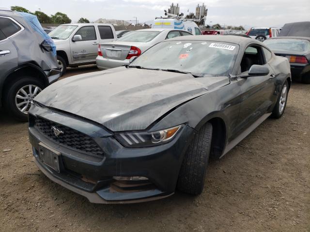 Photo 1 VIN: 1FA6P8AMXF5319137 - FORD MUSTANG 