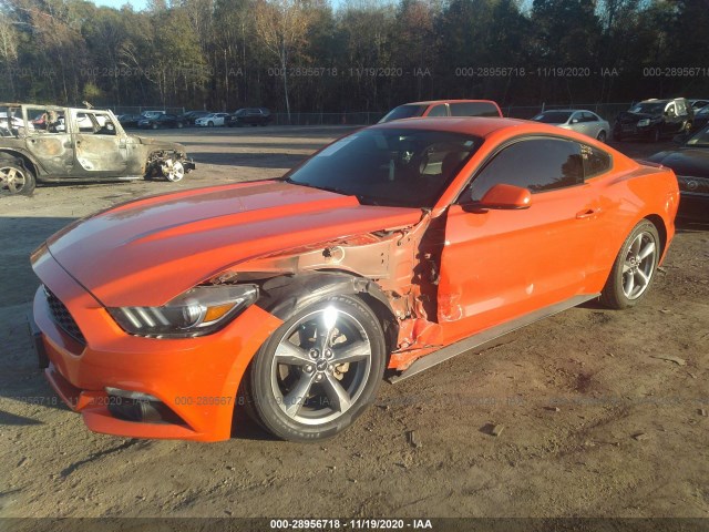 Photo 1 VIN: 1FA6P8AMXF5335628 - FORD MUSTANG 