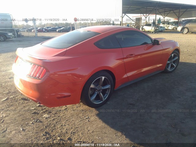 Photo 3 VIN: 1FA6P8AMXF5335628 - FORD MUSTANG 