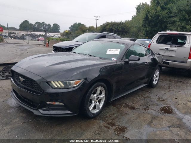 Photo 1 VIN: 1FA6P8AMXF5365616 - FORD MUSTANG 