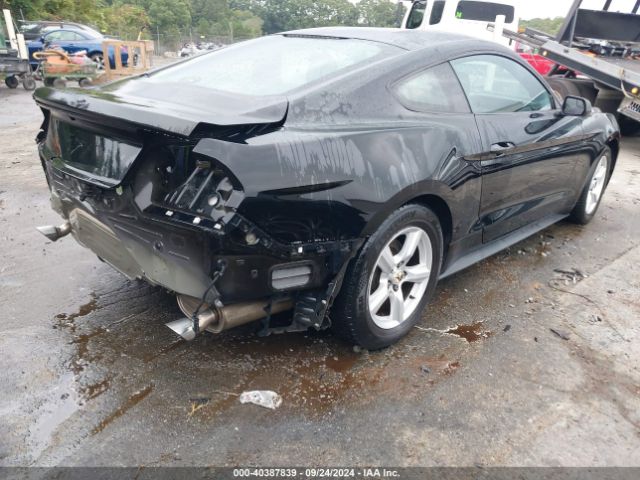 Photo 3 VIN: 1FA6P8AMXF5365616 - FORD MUSTANG 