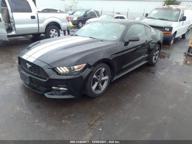 Photo 1 VIN: 1FA6P8AMXF5396459 - FORD MUSTANG 