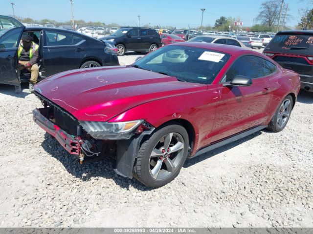 Photo 1 VIN: 1FA6P8AMXG5210808 - FORD MUSTANG 