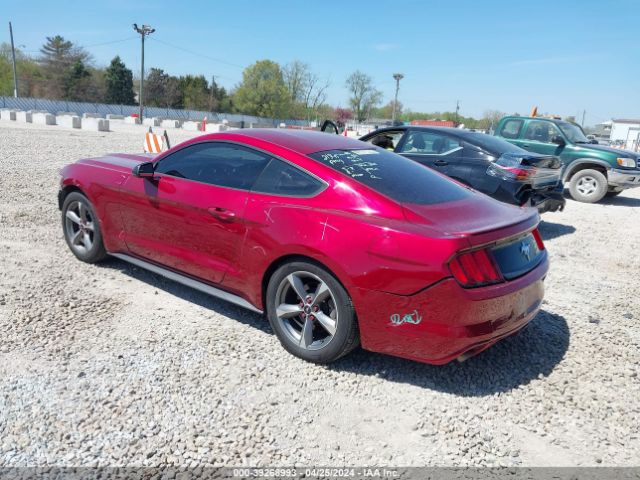 Photo 2 VIN: 1FA6P8AMXG5210808 - FORD MUSTANG 