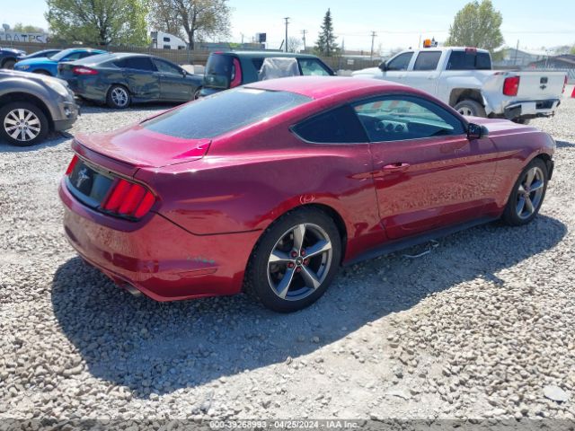 Photo 3 VIN: 1FA6P8AMXG5210808 - FORD MUSTANG 