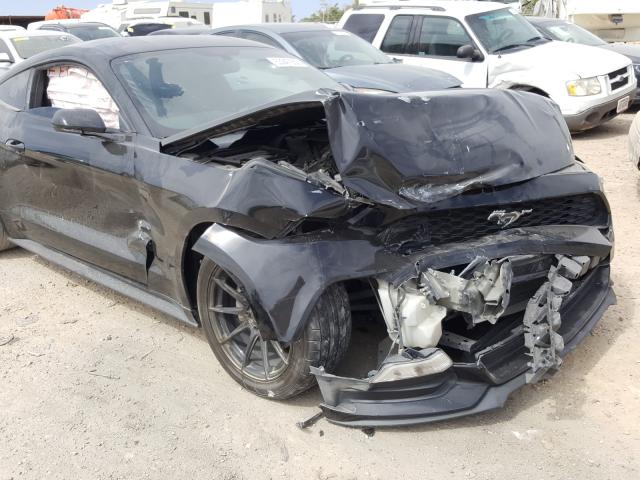 Photo 8 VIN: 1FA6P8AMXG5211487 - FORD MUSTANG 