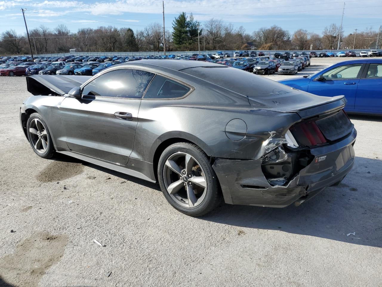 Photo 1 VIN: 1FA6P8AMXG5232534 - FORD MUSTANG 