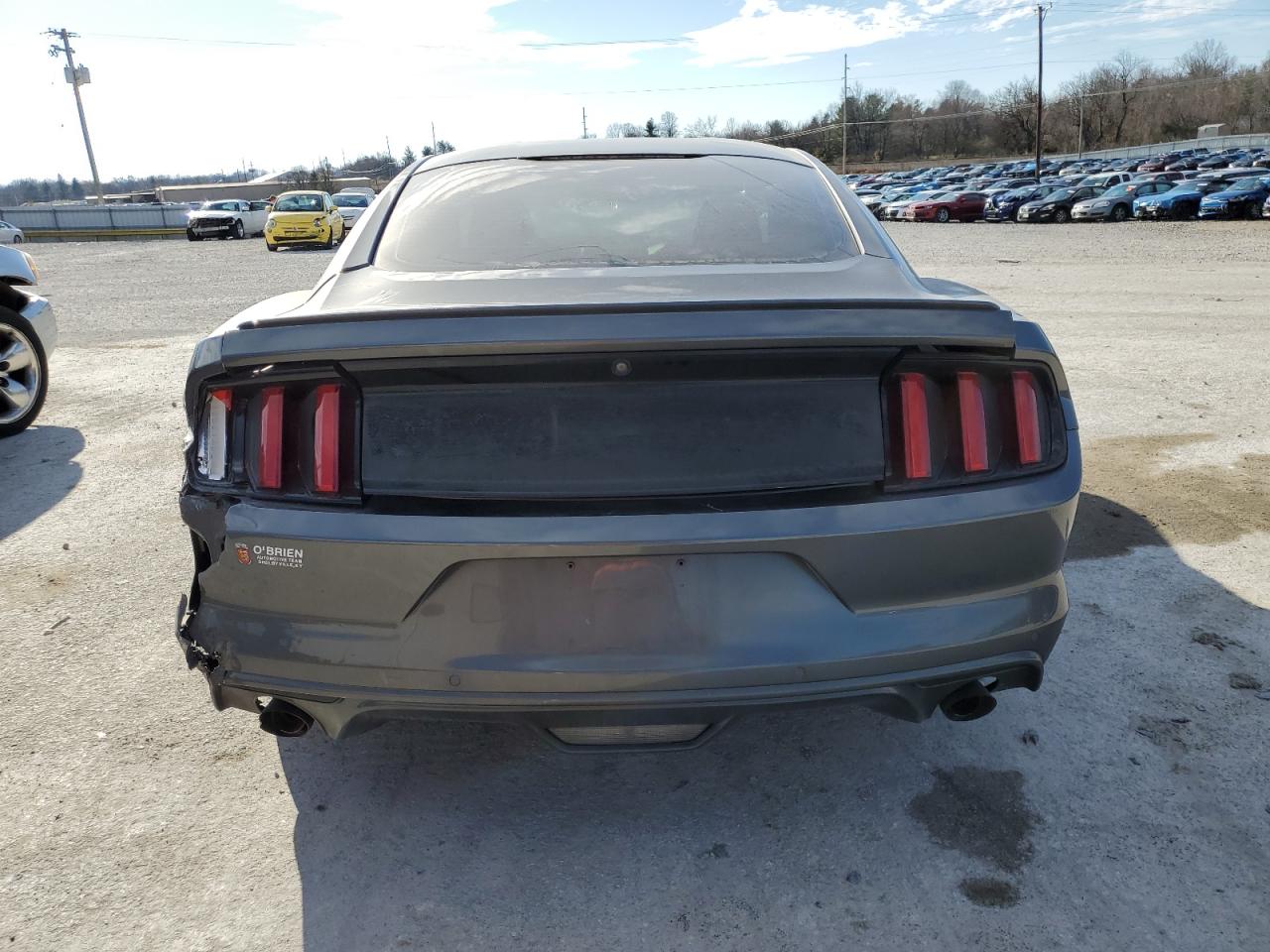 Photo 5 VIN: 1FA6P8AMXG5232534 - FORD MUSTANG 