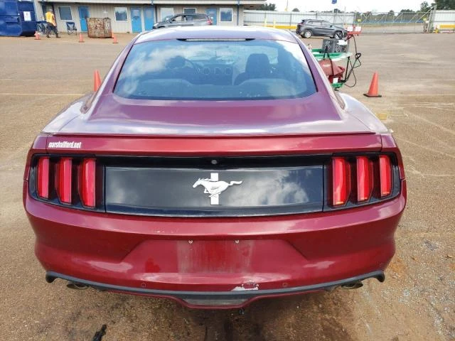 Photo 5 VIN: 1FA6P8AMXG5242108 - FORD MUSTANG 