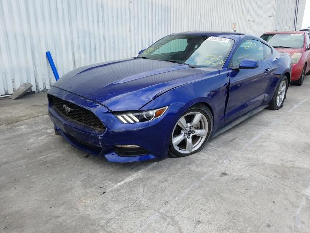 Photo 8 VIN: 1FA6P8AMXG5268448 - FORD MUSTANG 