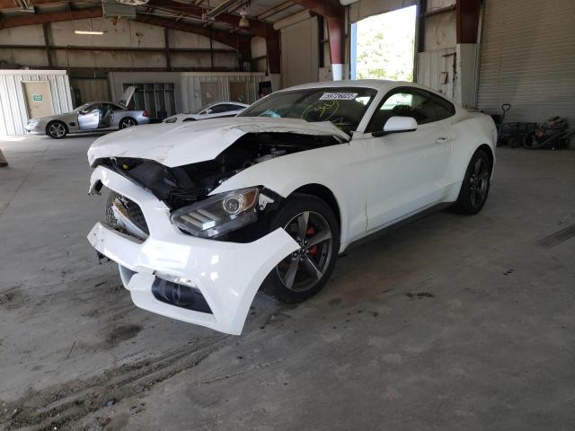 Photo 1 VIN: 1FA6P8AMXG5299988 - FORD MUSTANG 