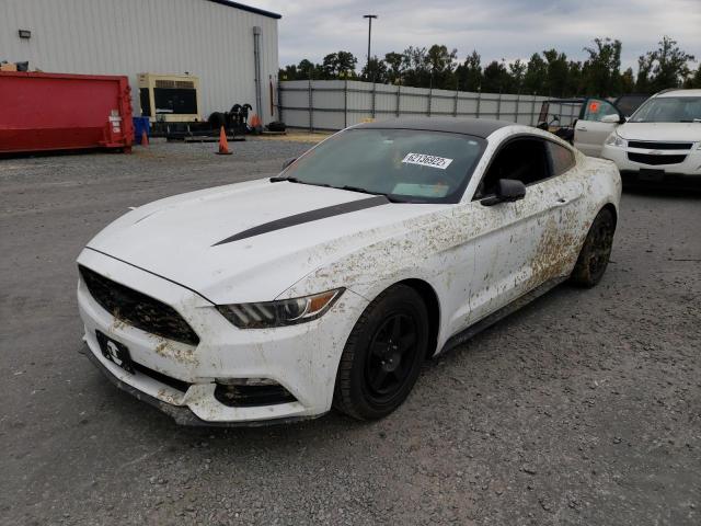 Photo 1 VIN: 1FA6P8AMXG5303117 - FORD MUSTANG 