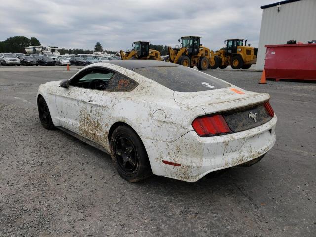 Photo 2 VIN: 1FA6P8AMXG5303117 - FORD MUSTANG 