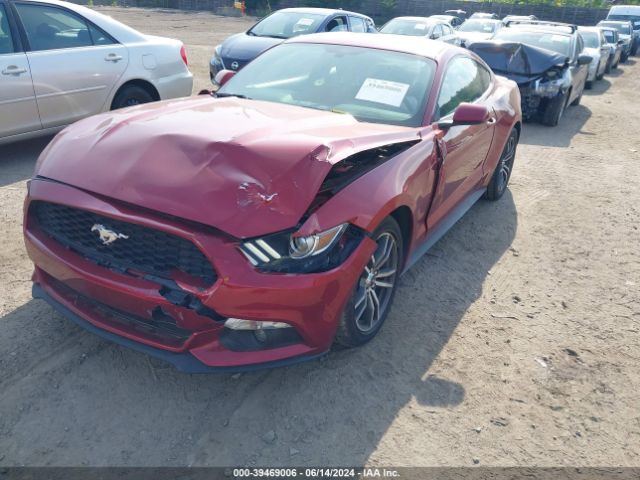 Photo 1 VIN: 1FA6P8AMXG5304736 - FORD MUSTANG 