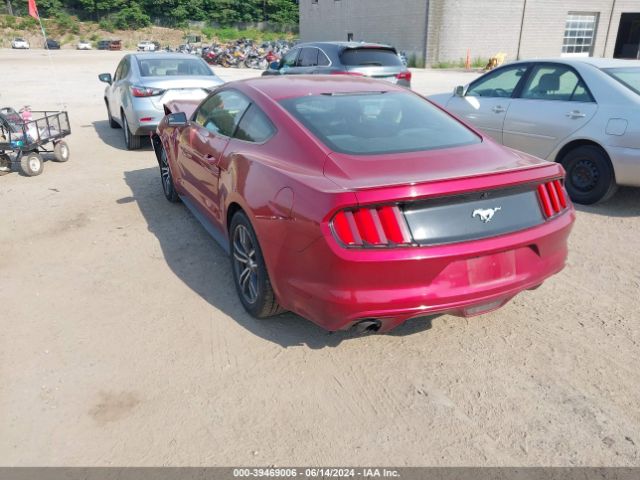 Photo 2 VIN: 1FA6P8AMXG5304736 - FORD MUSTANG 