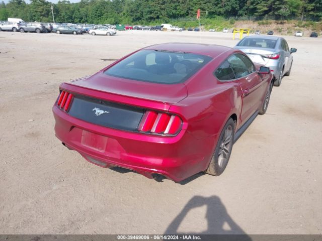 Photo 3 VIN: 1FA6P8AMXG5304736 - FORD MUSTANG 