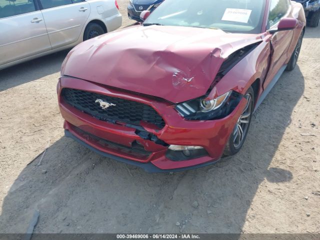 Photo 5 VIN: 1FA6P8AMXG5304736 - FORD MUSTANG 