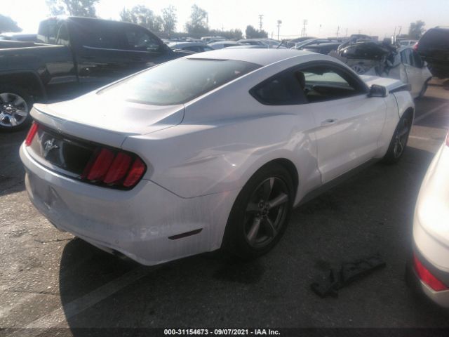 Photo 3 VIN: 1FA6P8AMXG5310584 - FORD MUSTANG 