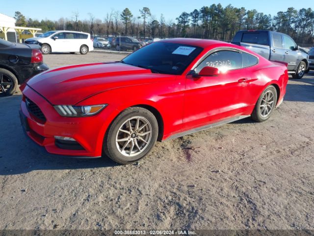 Photo 1 VIN: 1FA6P8AMXH5301708 - FORD MUSTANG 