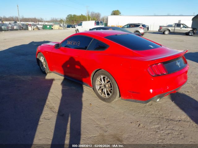 Photo 2 VIN: 1FA6P8AMXH5301708 - FORD MUSTANG 