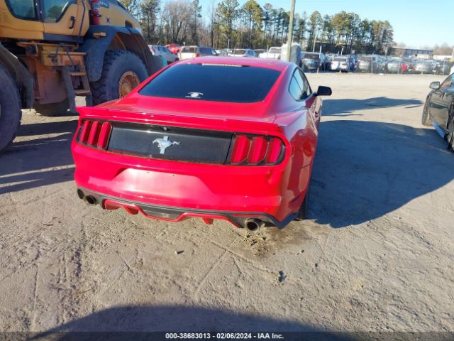 Photo 3 VIN: 1FA6P8AMXH5301708 - FORD MUSTANG 