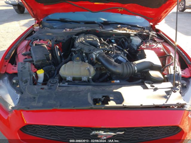 Photo 9 VIN: 1FA6P8AMXH5301708 - FORD MUSTANG 