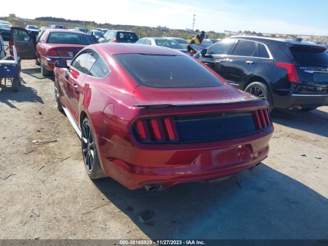 Photo 2 VIN: 1FA6P8CF0G5312598 - FORD MUSTANG 