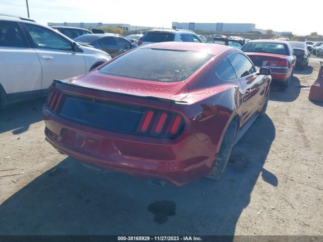 Photo 3 VIN: 1FA6P8CF0G5312598 - FORD MUSTANG 