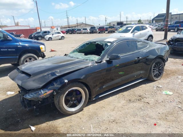 Photo 1 VIN: 1FA6P8CF0K5134006 - FORD MUSTANG 